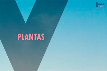 Plantas - Living Vision Campinas